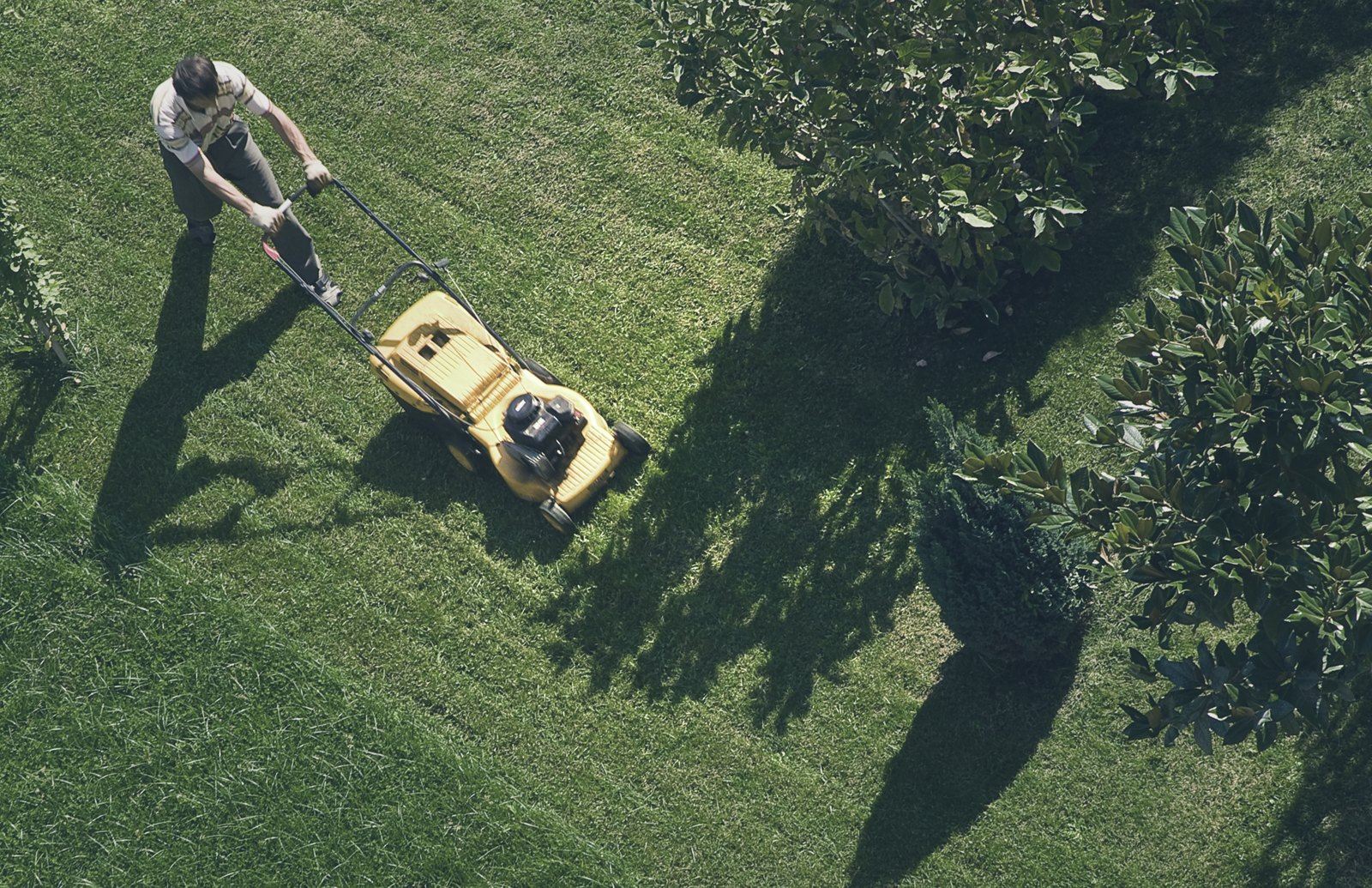 Overhead view of a lawn being mowed